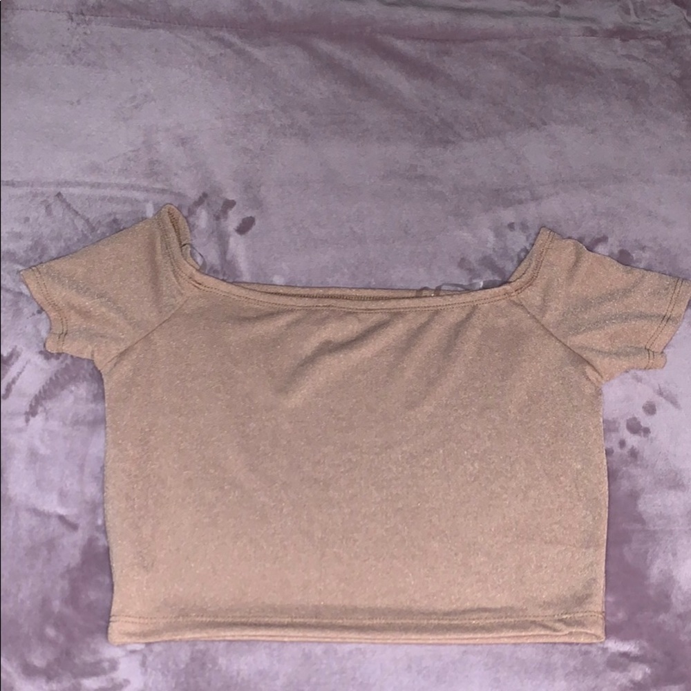 Nude Semi Off the Shoulder Top